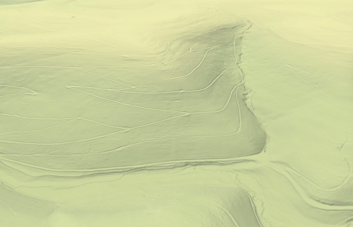 Detailed elevation map showing fine terrain features